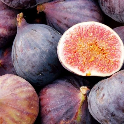 Инжир МУАССОН в Тюмени