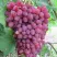 Виноград КИШМИШ ВЕЛЕС в Тюмени