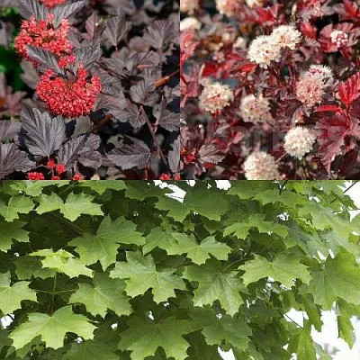 Комплект ОСЕННИЙ КОСТЕР в Тюмени