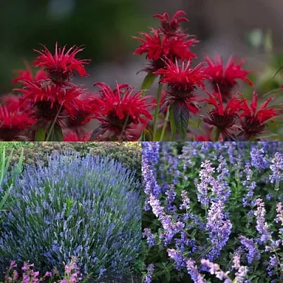 Комплект АРОМАТНЫЙ ЧАЙ в Тюмени