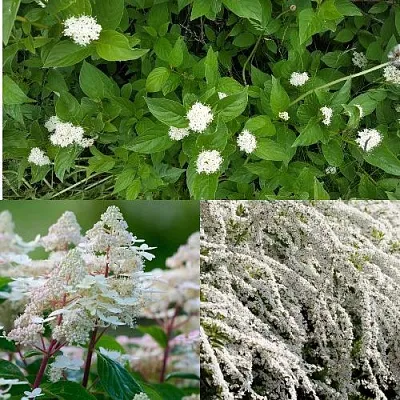 Комплект СКАНДИНАВСКИЙ СТИЛЬ в Тюмени