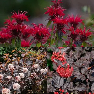 Комплект ОГНЕННЫЙ МИКС в Тюмени