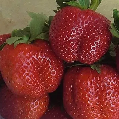 Клубника ДЕСТЕНИ  Клубника ДЕСТЕНИ в Тюмени