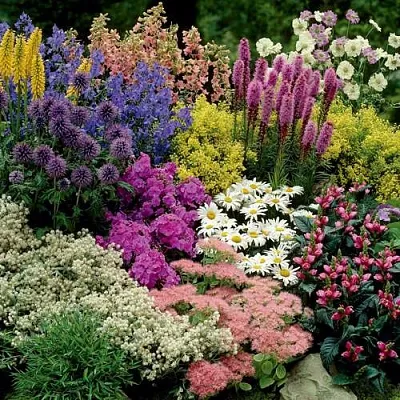 Травы  Травы в Тюмени