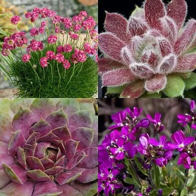 Комплект МИНИ САД в Тюмени