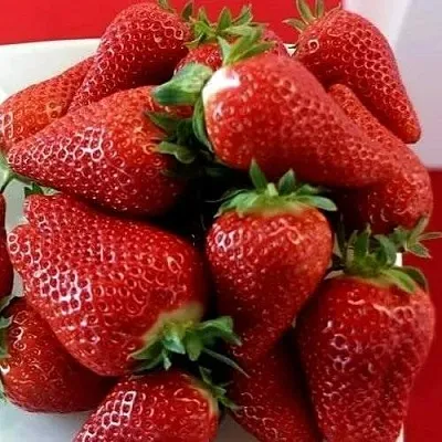 Клубника БРИЛЛА  Клубника БРИЛЛА в Тюмени