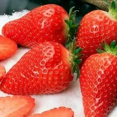 Клубника АЛЬБА  Клубника АЛЬБА в Тюмени