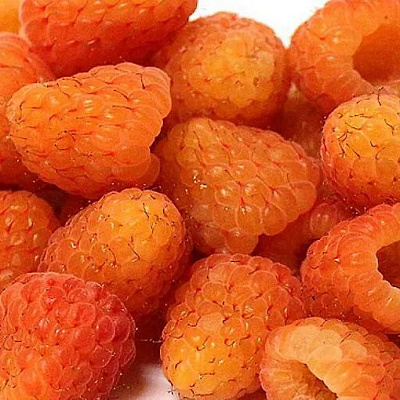 Оранжевая в Тюмени