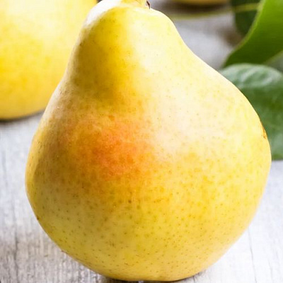 Желтая в Тюмени